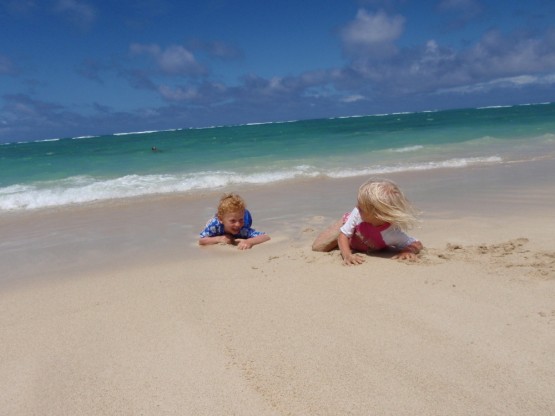 hawaii-lanikai-sienna-rob 2 sea turtles coming out of the ocean