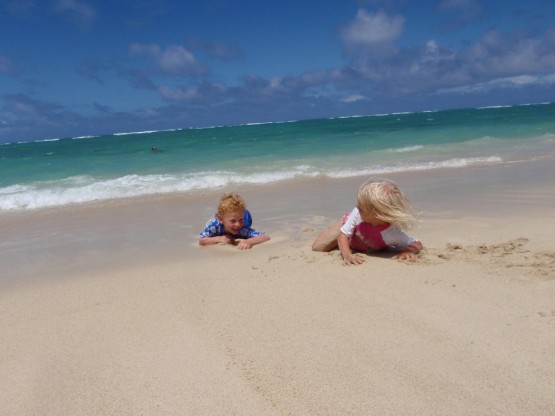 2 sea turtles coming out of the ocean