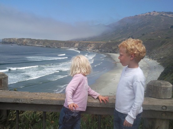 Sand Dollar Beach