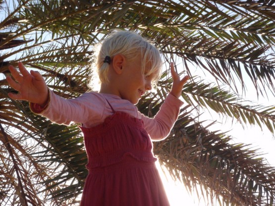 Hula under the palmtree