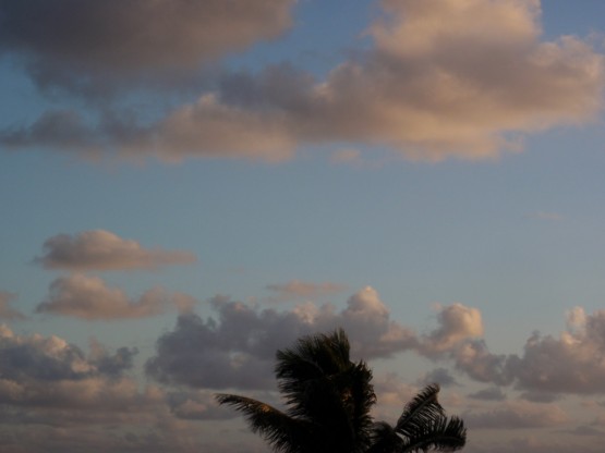 Clouds on a beautiful windy morning...