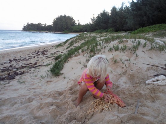 Sienna on her peanut project in Kanaha