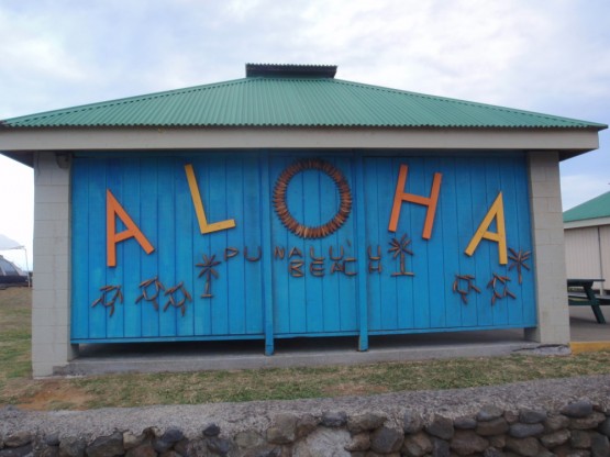 10_aloha