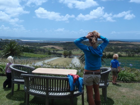 Winery with a view