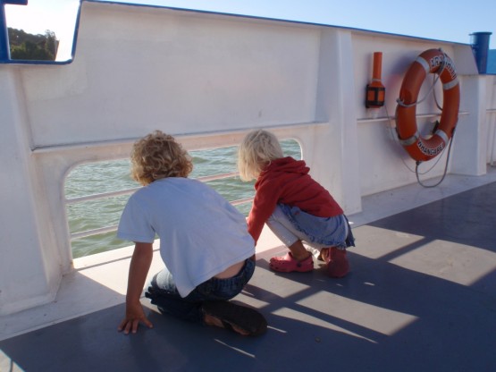 ferry2 checking for dolphins / seals / fish / seaweed