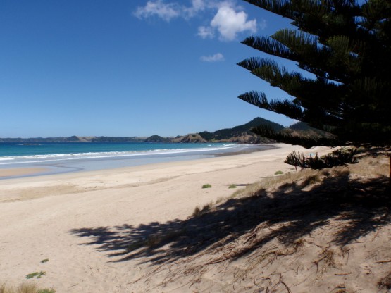 Sandy Bay north of Whangarei