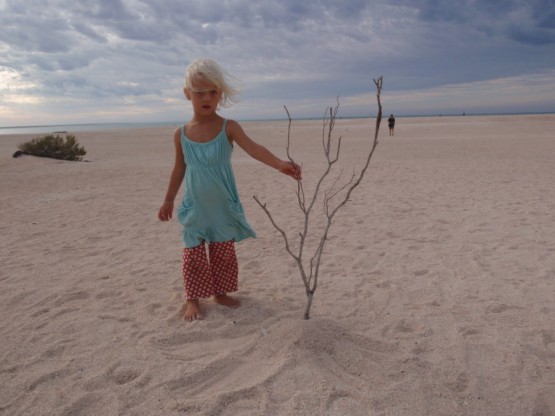 Sienna with her nature's art project "lonely tree with shells"