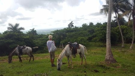 up on the hill, looking to the Caribbean Sea